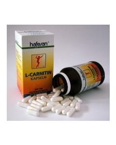 Hafesan L-Carnitin 300mg Kapseln 60 Stück