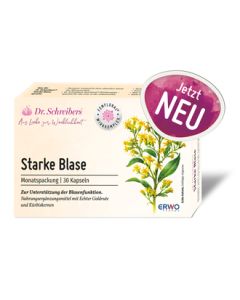 Dr. SCHREIBERS STARKE BLASE 30 Stück