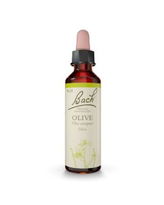 BACHBLÜTE Nr. 23 Olive (Olive)