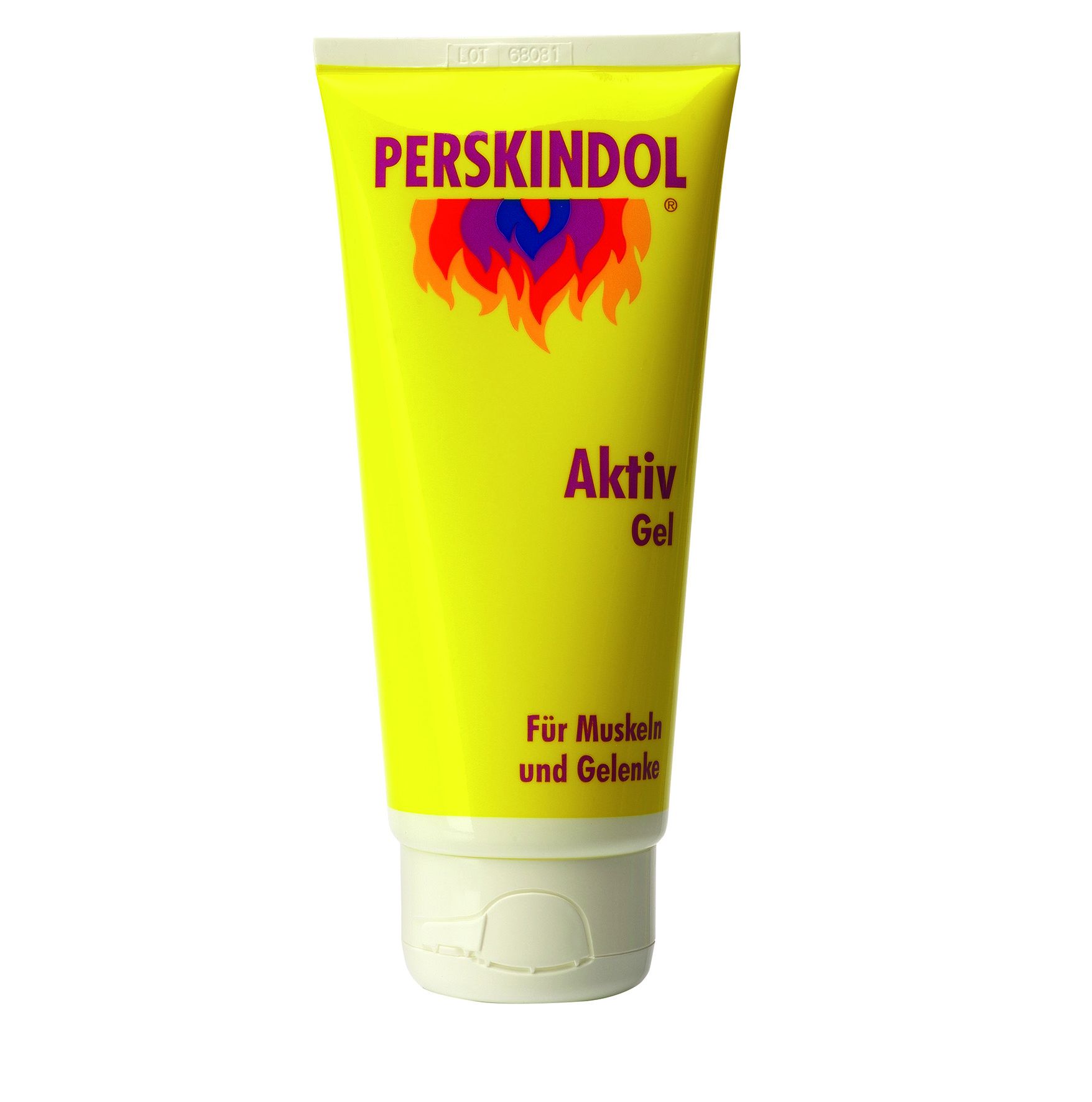 PERSKINDOL aktiv Gel 100g