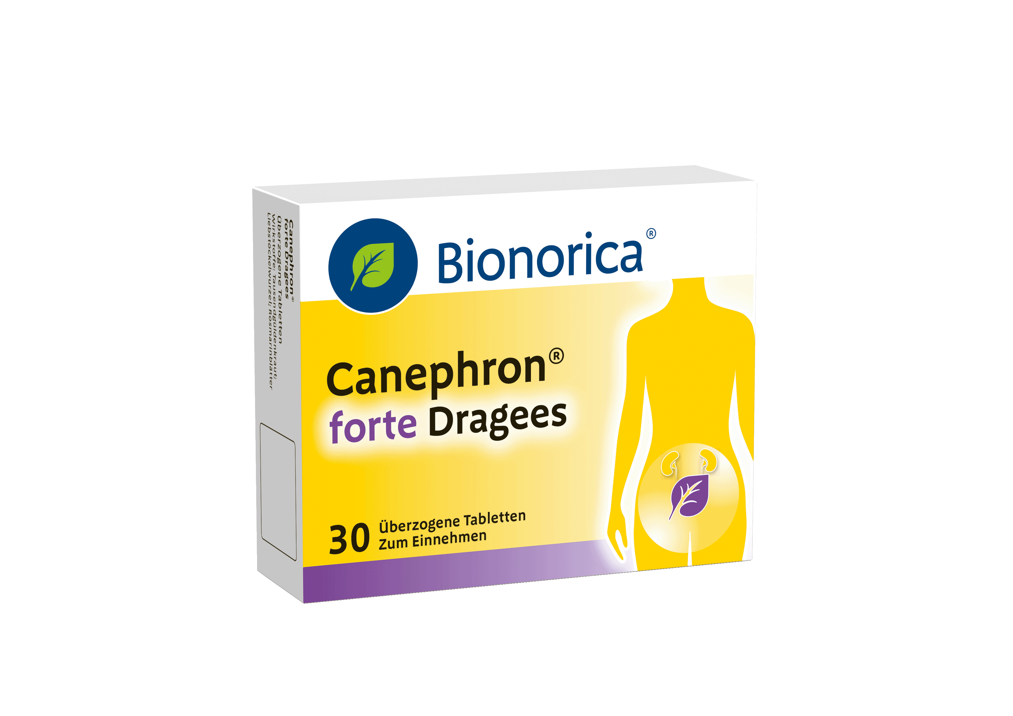 CANEPHRON DRG FTE