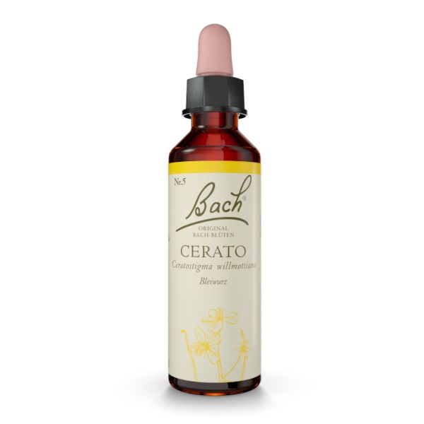 BACHBLÜTE Nr. 5 Cerato (Bleiwurz)