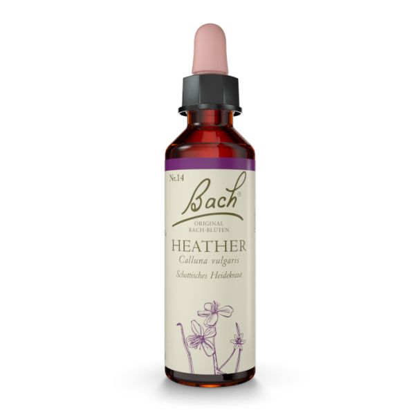 BACHBLÜTE Nr. 14 Heather (Schottisches Heidekraut)