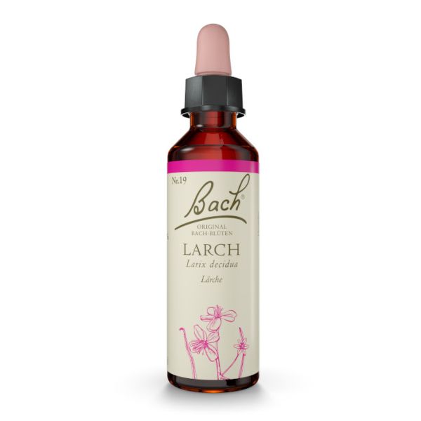 BACHBLÜTE Nr. 19 Larch (Lärche)